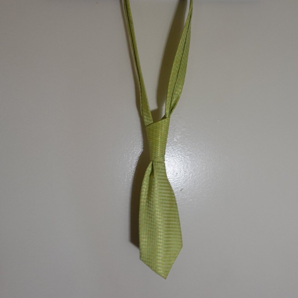 Neck Tie - Alex Mishra